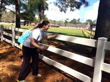 Kate cleans a fence.