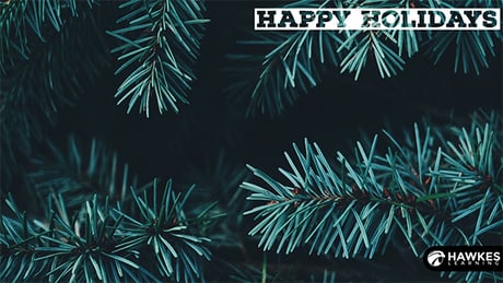 Evergreen Zoom Background