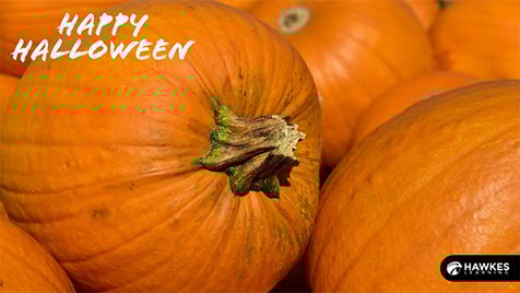 Pumpkins Zoom Background