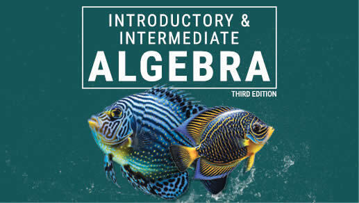 Introductory & Intermediate Algebra, 3rd Edition