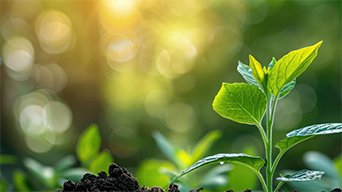 Building Resilience and Growth Mindset through Adaptive Learning with Hawkes