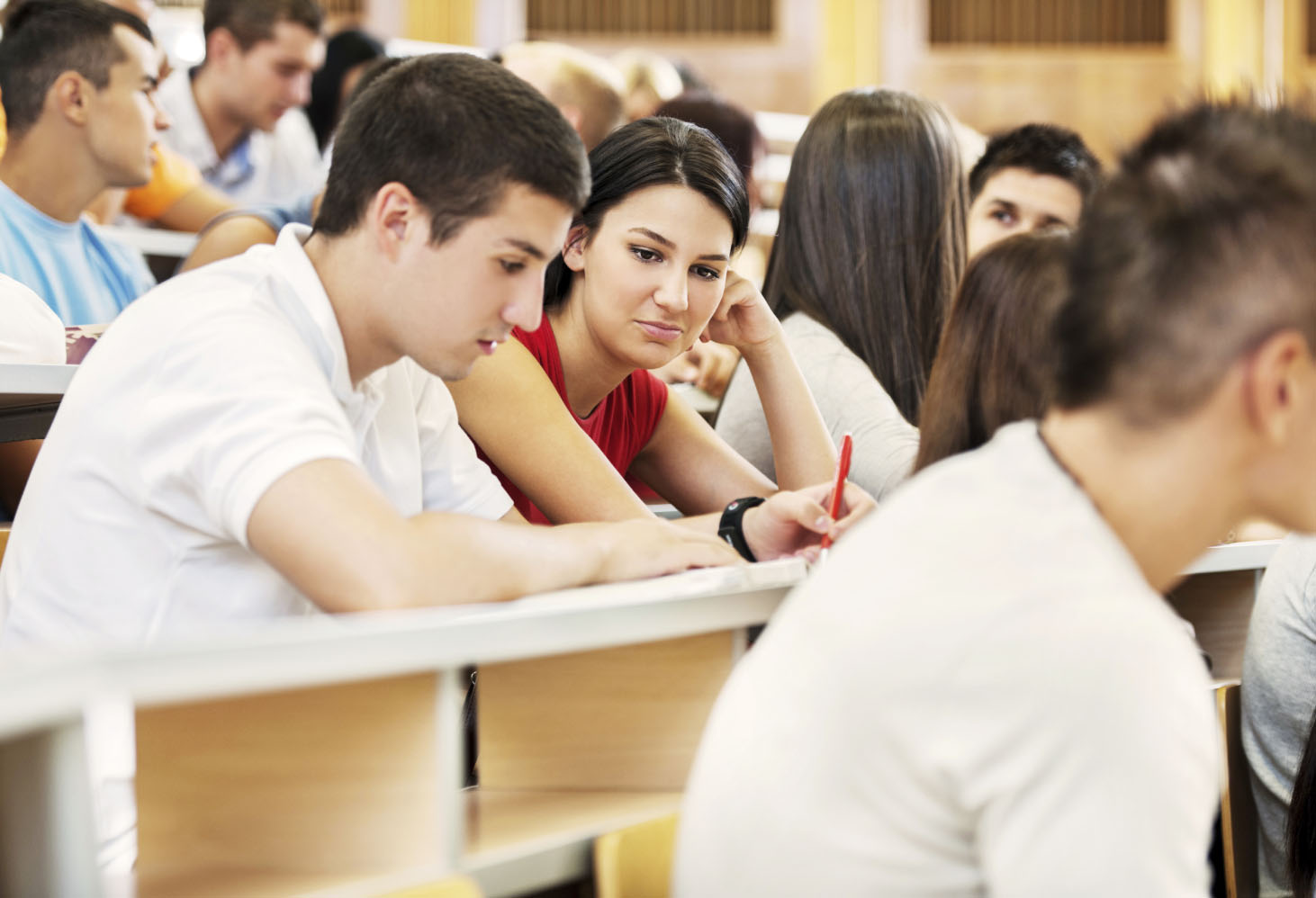 Students at university amphitheatre.